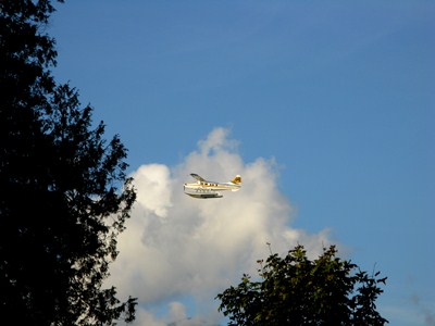 Wasserflugzeug in der Luft