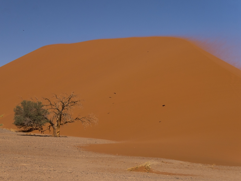 Die Dünen von Soususvlei