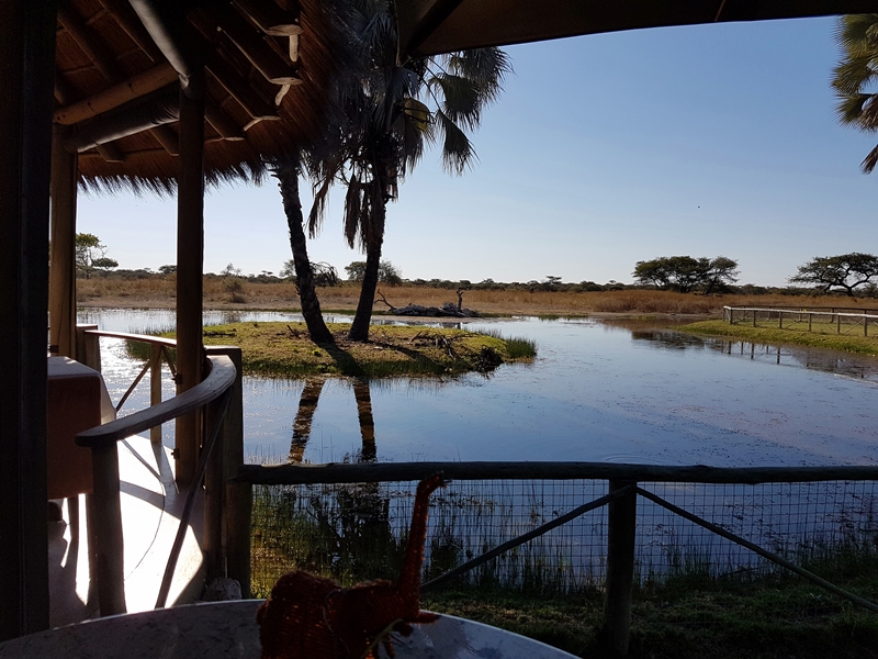 Wasserloch Onguma Bush Camp