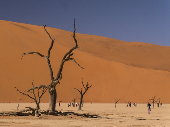 Tote Bäume und Touristen im Dead Vlei - Namib