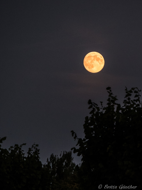 Vollmond Abend vorher