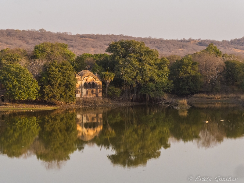 Palastruine am See - Ranthambore