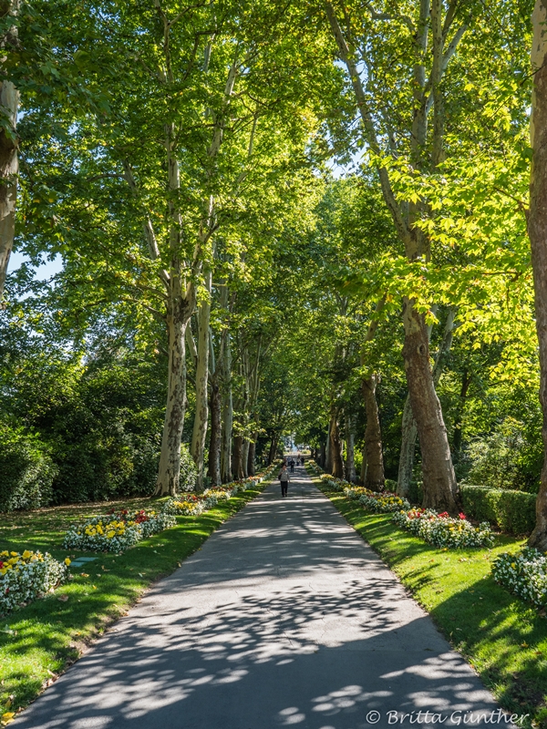 Allee im Schlossgarten