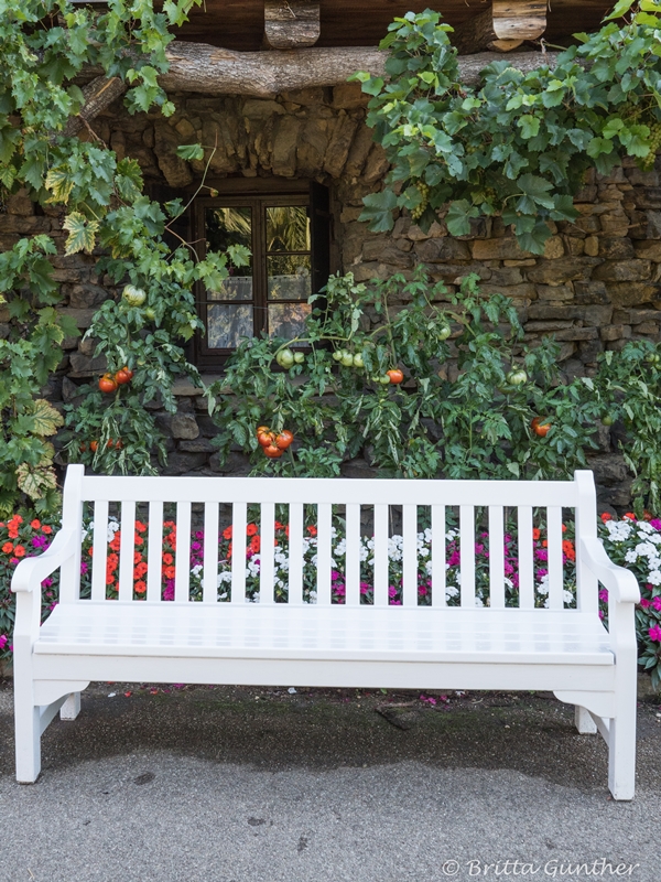 Parkbank im Gemüsegarten