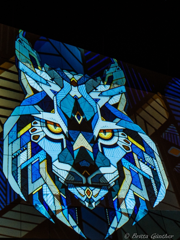 Show an der EZB - Fuchs in blau