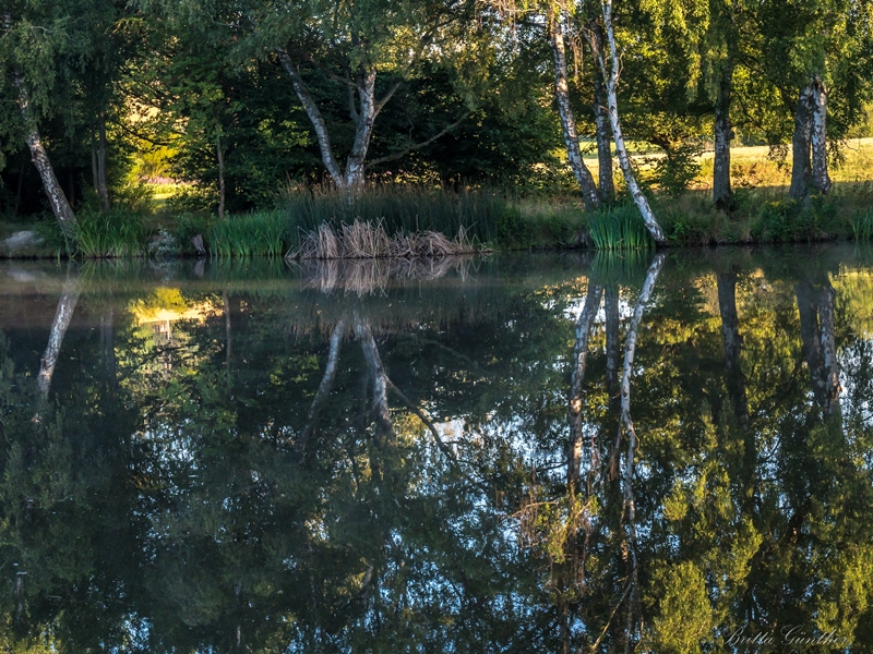 Spiegelungen im See