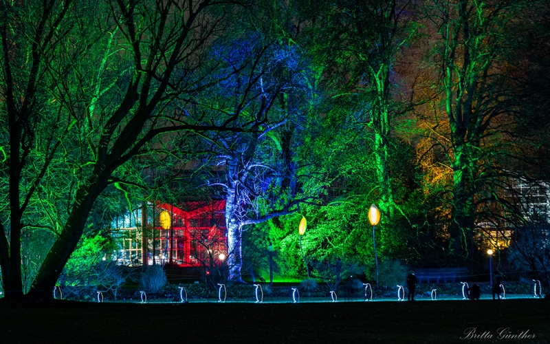 Winterlichter Palmengarten Frankfurt