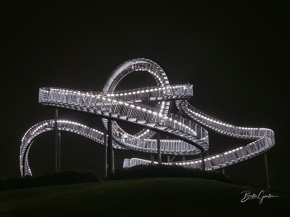 Tiger+Turtle