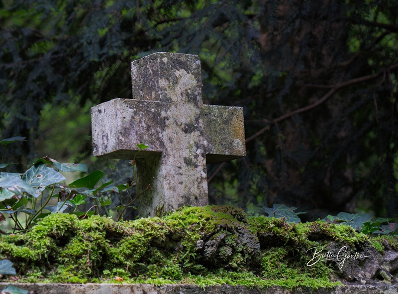 Waldfriedhof