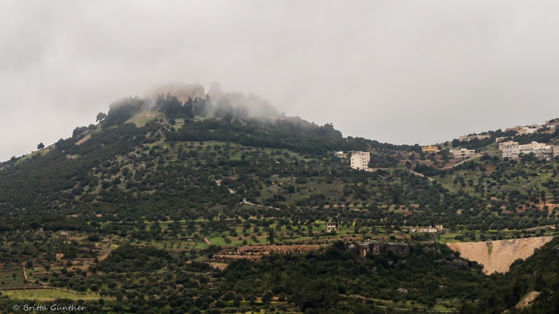 Irgendwo dort oben ist Ajloun