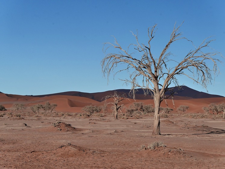 Sossusvlei