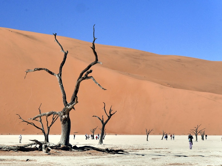 Deadvlei