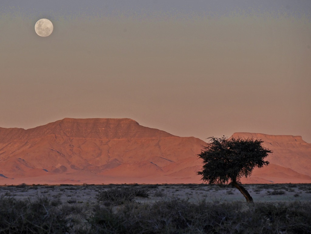 Vollmond