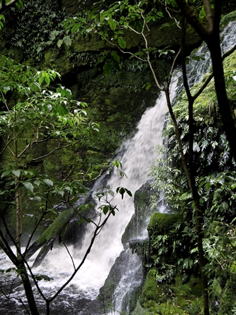 Mclean Falls