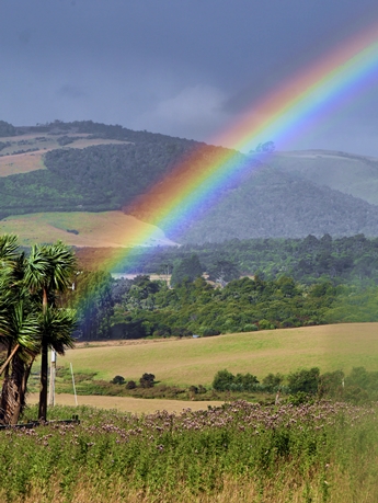 Regenbogen