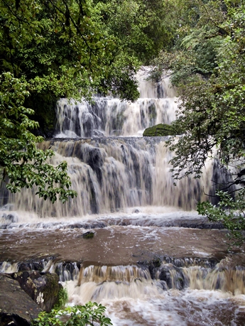 Purakanui Falls