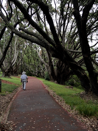 Auckland Domain