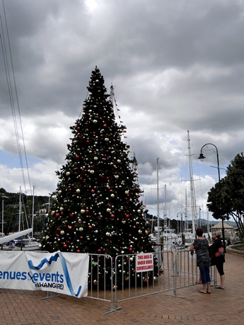 Weihnachtsbaum Whangarei