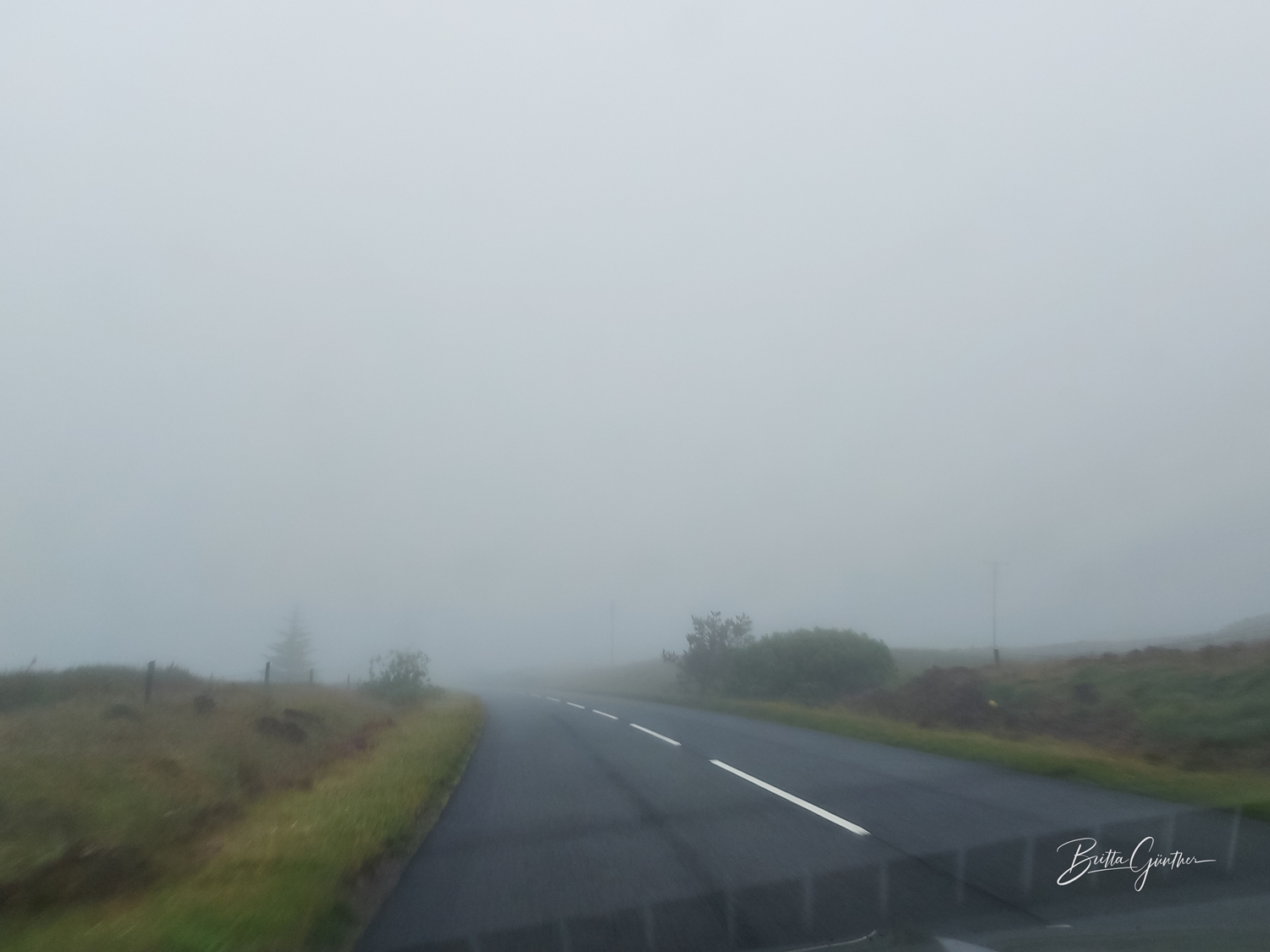 Im Nebel 2